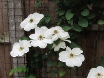 User post image