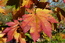 User post image