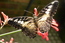 User post image
