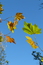 User post image