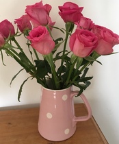 User post image