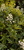 User post image