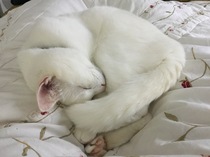 User post image