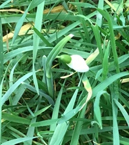 User post image