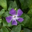 User post image