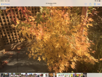 User post image