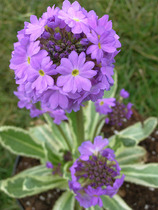 User post image