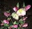User post image