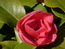 User post image