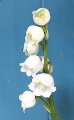 User post image