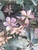 User post image