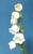 User post image