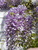 User post image