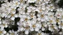 User post image