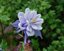 User post image