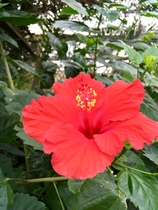 User post image