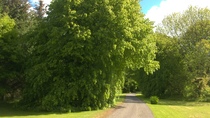User post image
