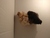 User post image