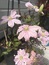 User post image