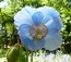 User post image