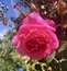 User post image