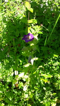 User post image