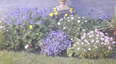 User post image