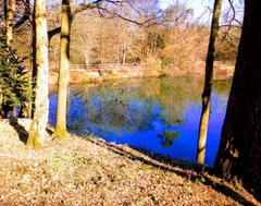 User post image
