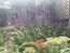 User post image