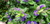 User post image