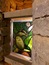 User post image