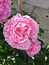 User post image