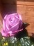 User post image