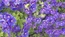 User post image