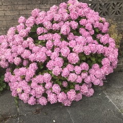 User post image