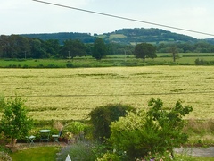 User post image
