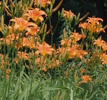 User post image