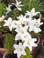 User post image