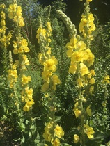 User post image