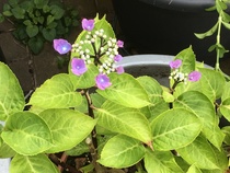 User post image