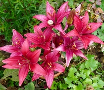 User post image