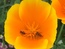 User post image