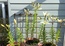 User post image