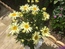 User post image