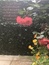 User post image