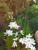 User post image
