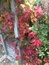 User post image
