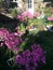 User post image