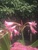 User post image