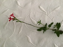 User post image